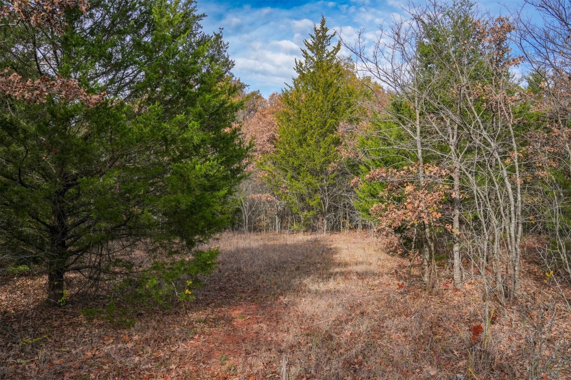 Macomb, Oklahoma 74852, United States, ,Land,Active,29950