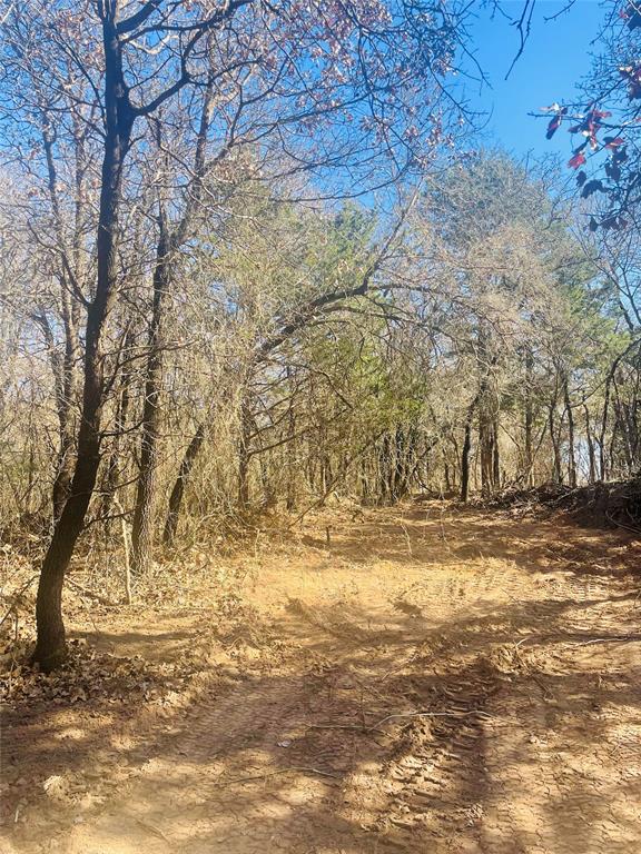 Wooded acreage featuring a natural path, mature trees, and clear sky