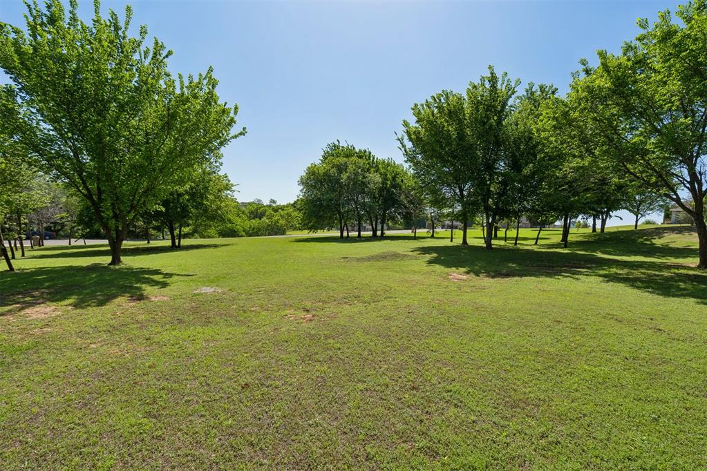 Expansive green space featuring mature trees and a clear sky