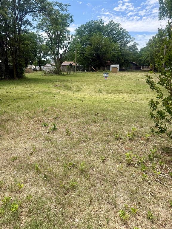 Expansive open lot featuring mature trees and a distant shed structure