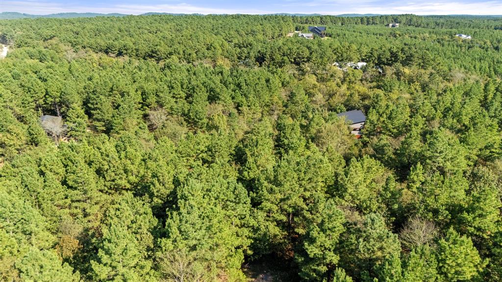 Aerial view of property and surrounding area featuring a forest