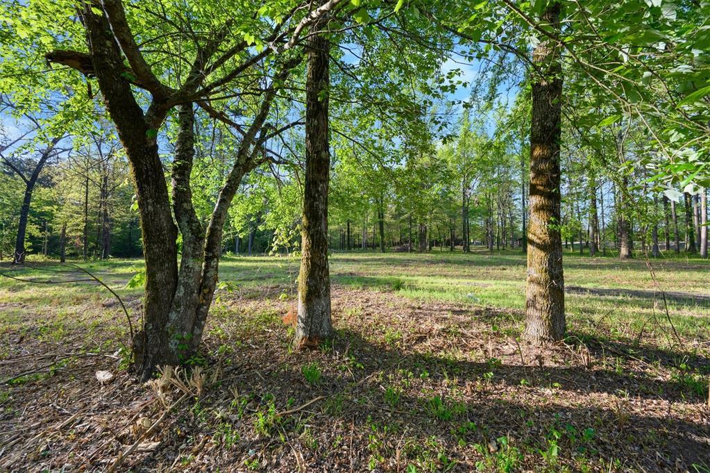 21534 N Us Highway 259