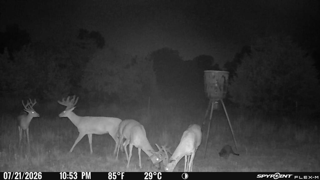 8650 Dobbs Road - Photo 3