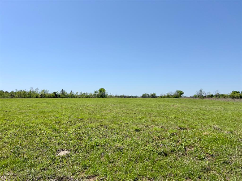 1275 Snows Arena Road