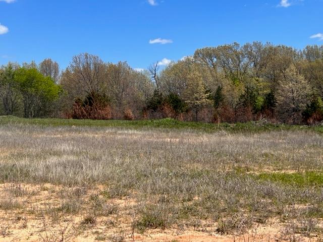 View of woods featuring a view of countryside