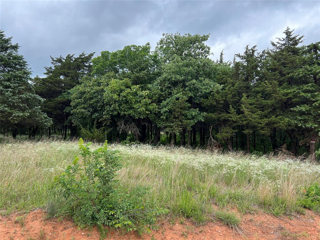 Photo 1 of 24 — 9740 Cedar View Lane, Guthrie, OK 73044