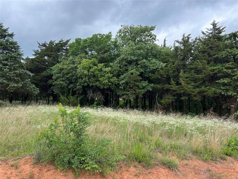 Photo of 9740 Cedar View Lane, Guthrie, OK 73044 (MLS # 1230416)