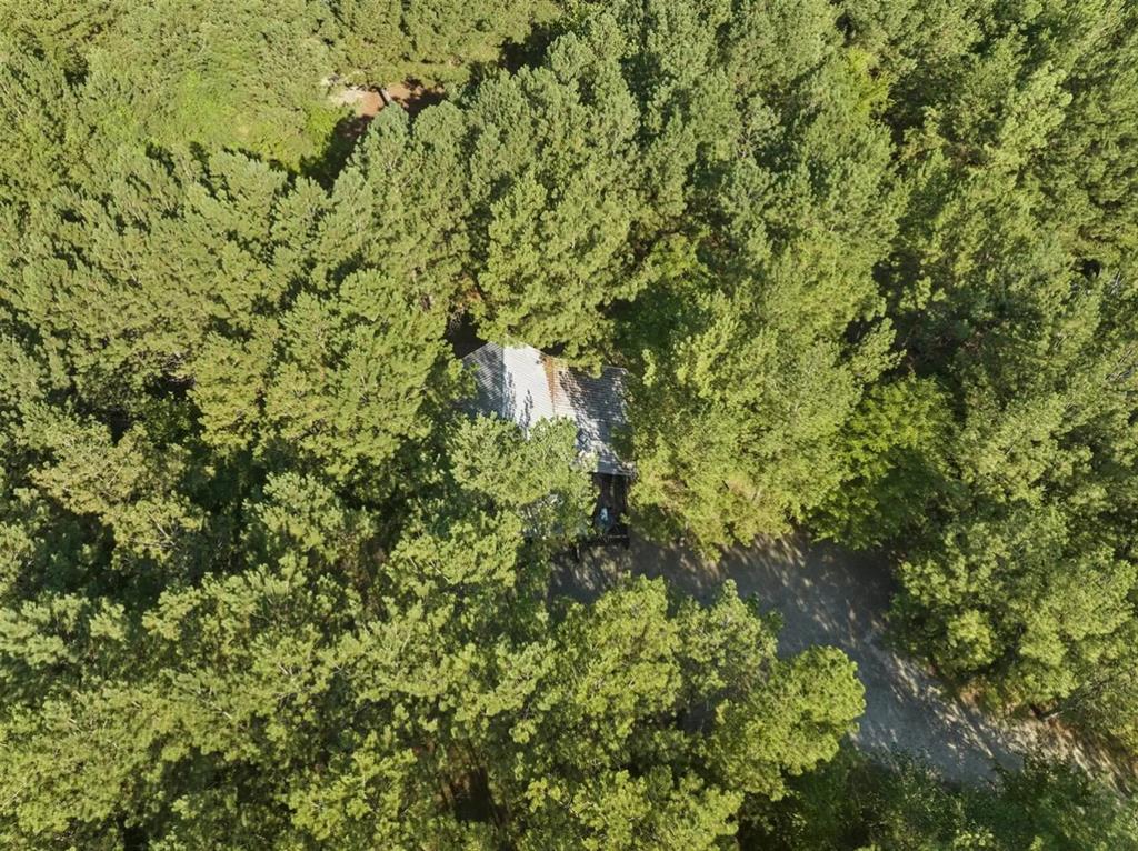 81 Bent Pine Trail