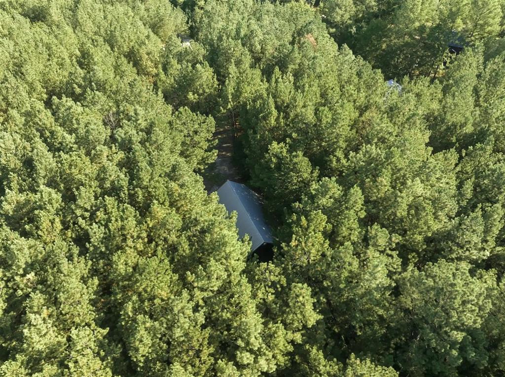 83 Bent Pine Trail