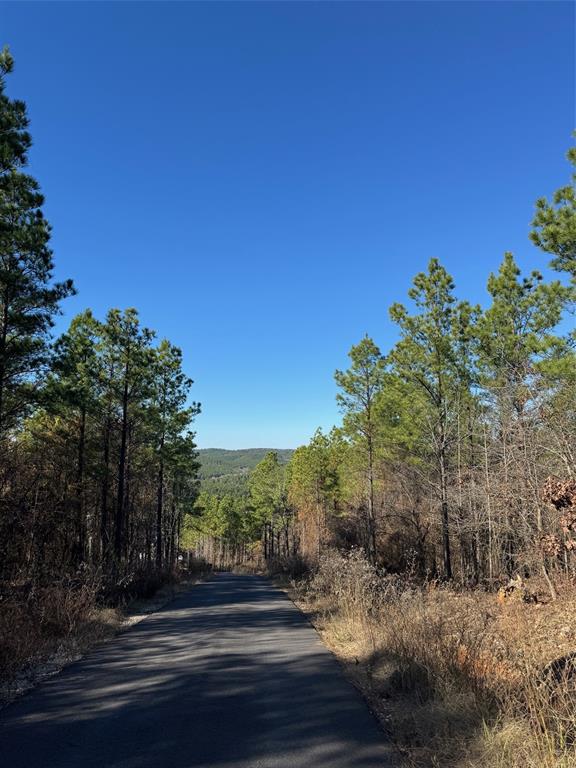 Photo 1 of 9 — 63 Acorn Court, Broken Bow, OK 74728