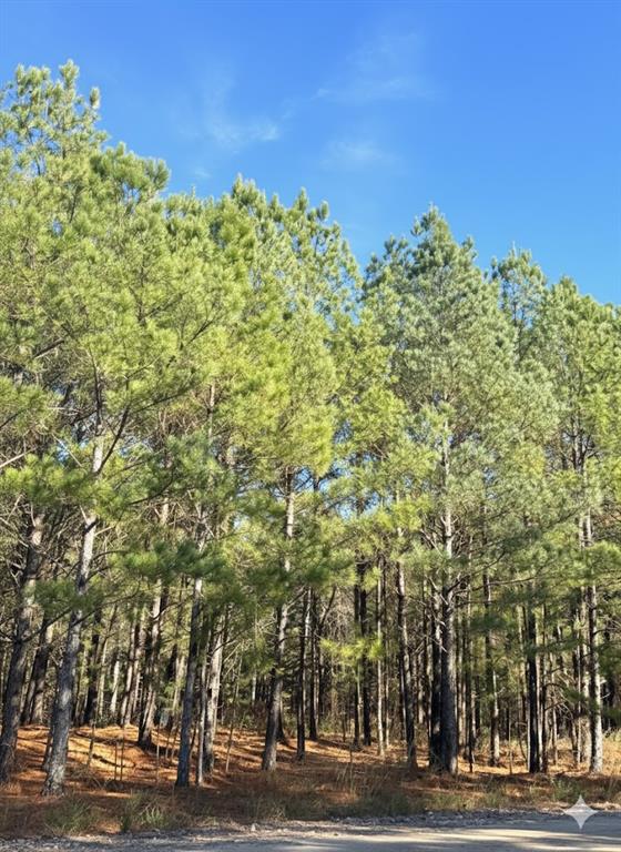 Photo 1 of 5 — 16 Dawnview Way, Broken Bow, OK 74728