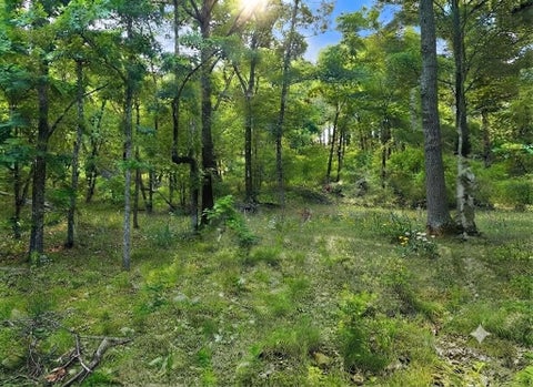 Photo of 143 Western Cedar Trail, Broken Bow, OK 74728 (MLS # 1238503)