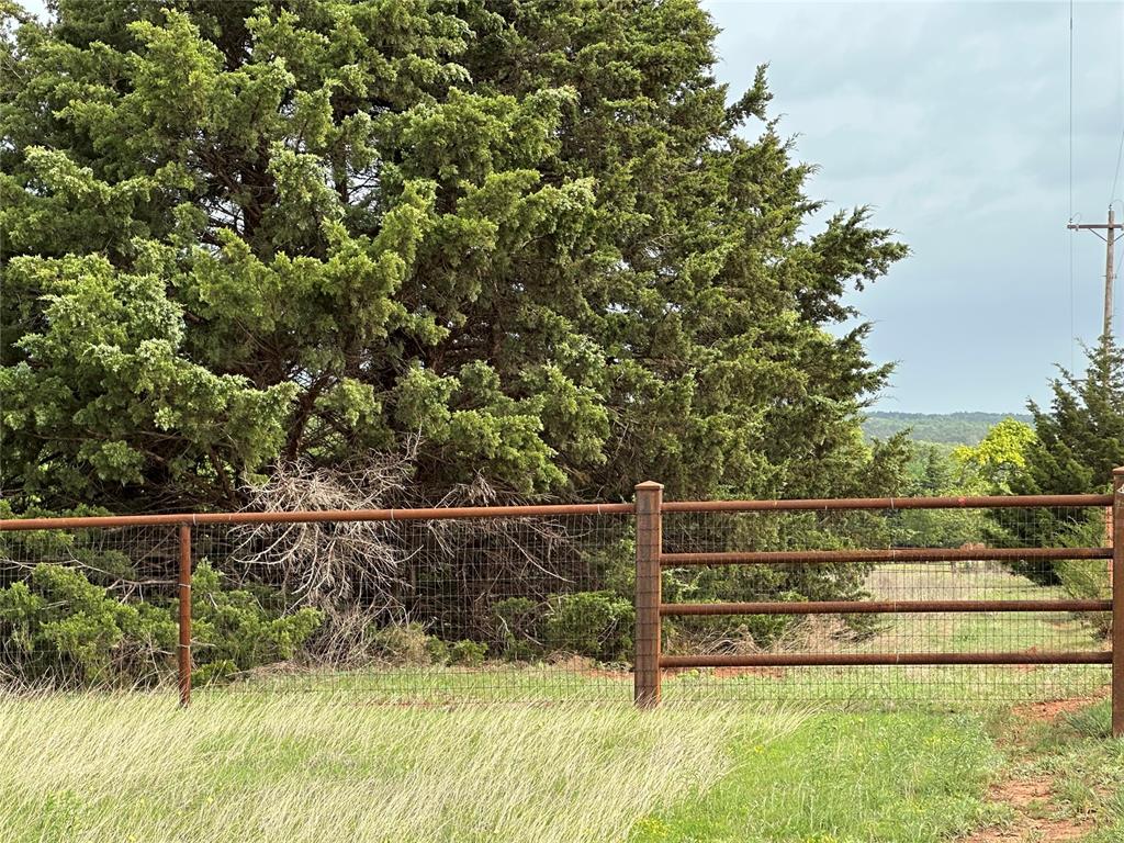 Extensive fencing with metal posts and wire mesh