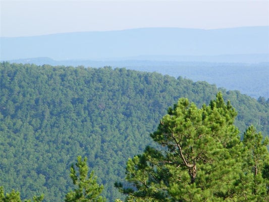 NE 155TH RD, RED OAK, OK 74563 - Image c6ff01955a1ececb3a76dd13b06003df/2114403845