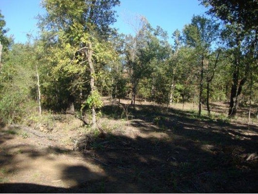 26 S 4296 ROAD ROAD, PORUM, OK 74455 - Image cecb60a93da520c8e1b6fa6e036da7c9/2095779034