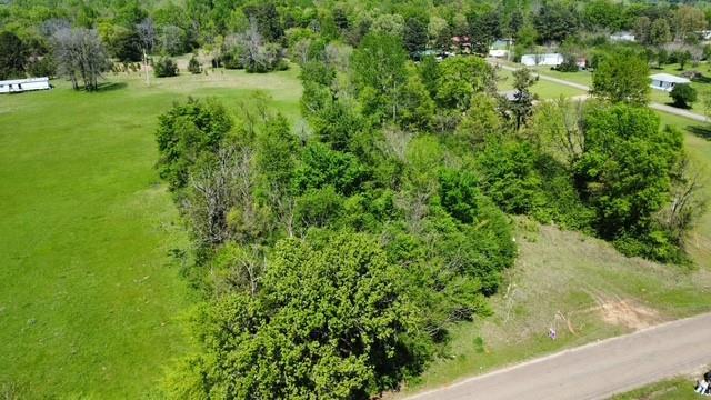 Bird's eye view of a tree filled landscape