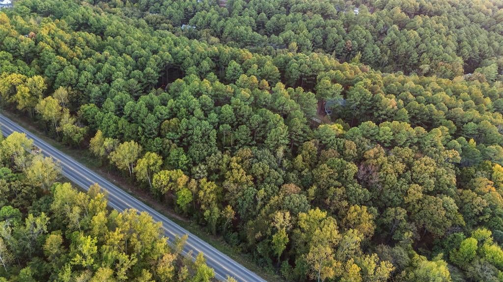 685 Long Pine Trail