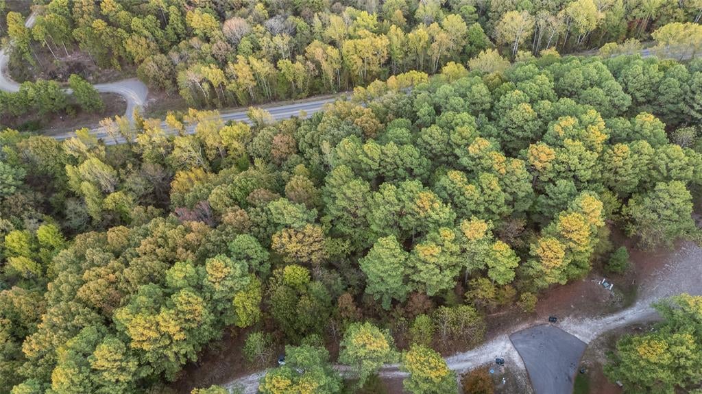 685 Long Pine Trail