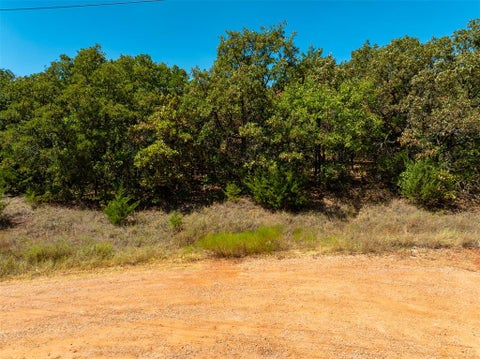 Photo of Stonetree Court, Luther, OK 73054 (MLS # 1247147)