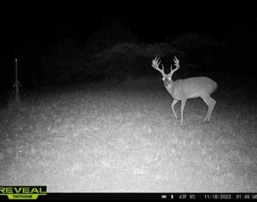 Meeker, Oklahoma 74855, United States, 4 Bedrooms Bedrooms, ,3 BathroomsBathrooms,Residential,Active,209803