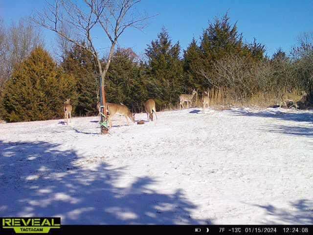 Meeker, Oklahoma 74855, United States, 4 Bedrooms Bedrooms, ,3 BathroomsBathrooms,Residential,Active,209803