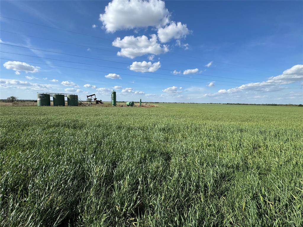 Expansive green fields extending towards the horizon under a clear blue sky with white clouds