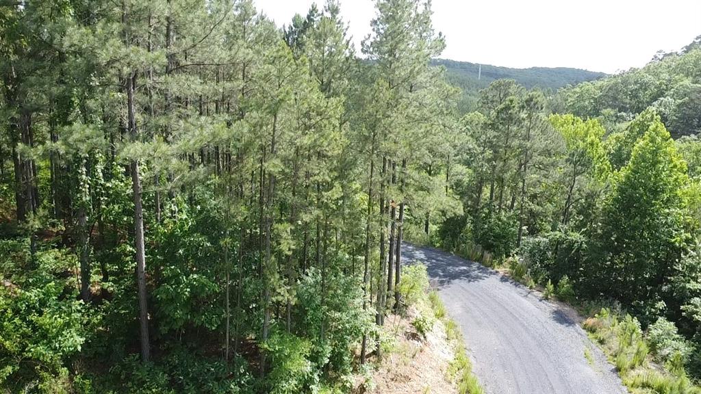 Photo 1 of 14 — 635 Virginia Pine Place, Broken Bow, OK 74728