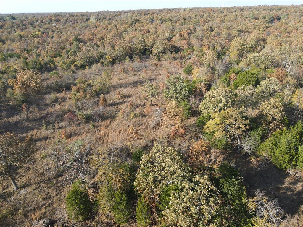 Aerial overview of property's location with a forest