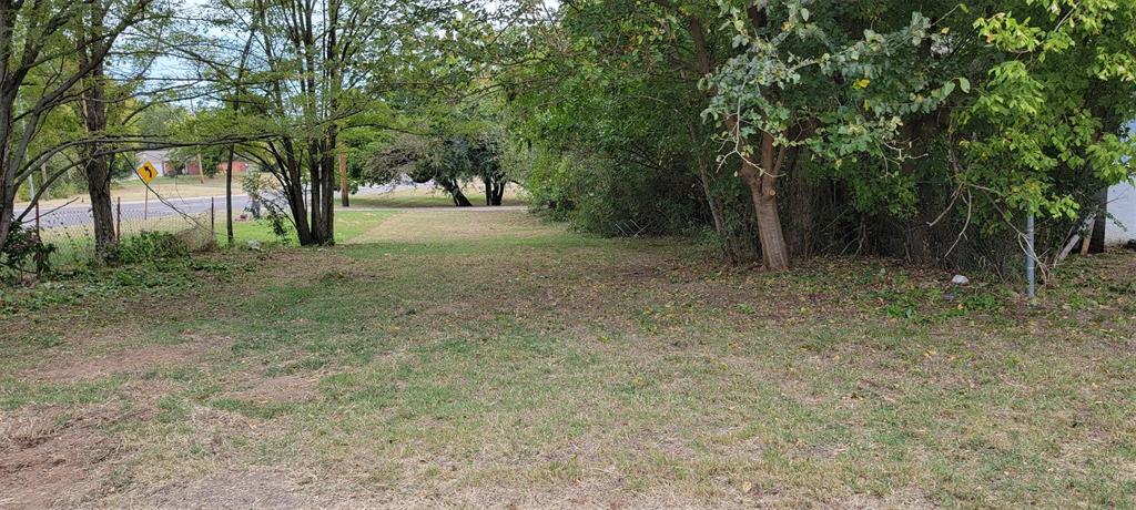 View of green lawn
