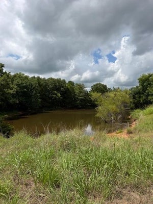 PLEASANT HILL RD, ASHER, OK 74826 - Image eeba089ee2c1bf3db2aa61f49db0f3ef/3113609859