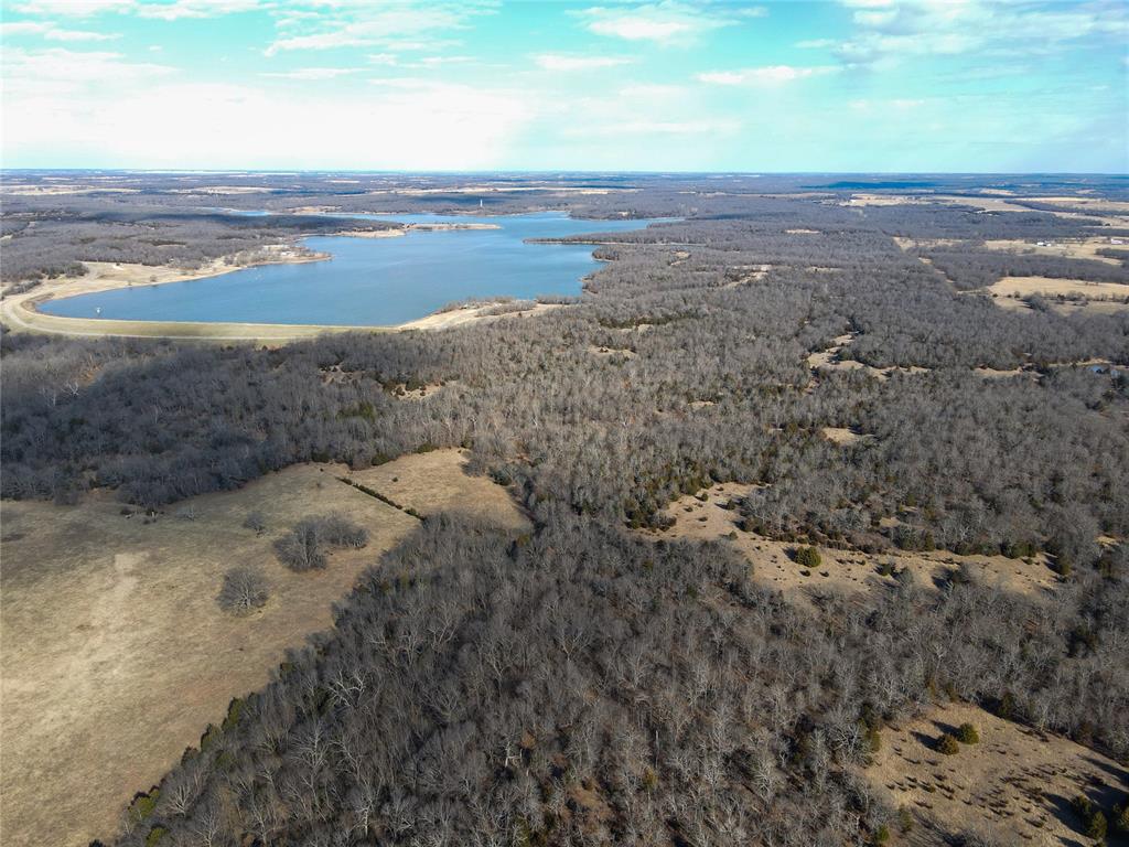Aerial view of a large body of water and a forest