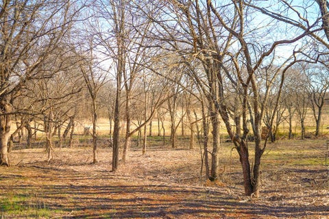 Photo of E Sorghum Mill Road, Arcadia, OK 73007 (MLS # 1216953)