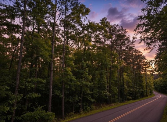 CARSON RIDGE RD, MANNFORD, OK 74044 - Image f45e5698d0ee67be574d01c415705ef4/2761048040