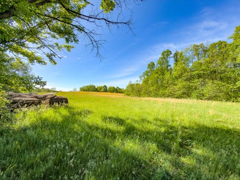 Vacant Land For Sale - PARCEL 1 Perry Ridge Road<br/> Wilkesville, OH 45695