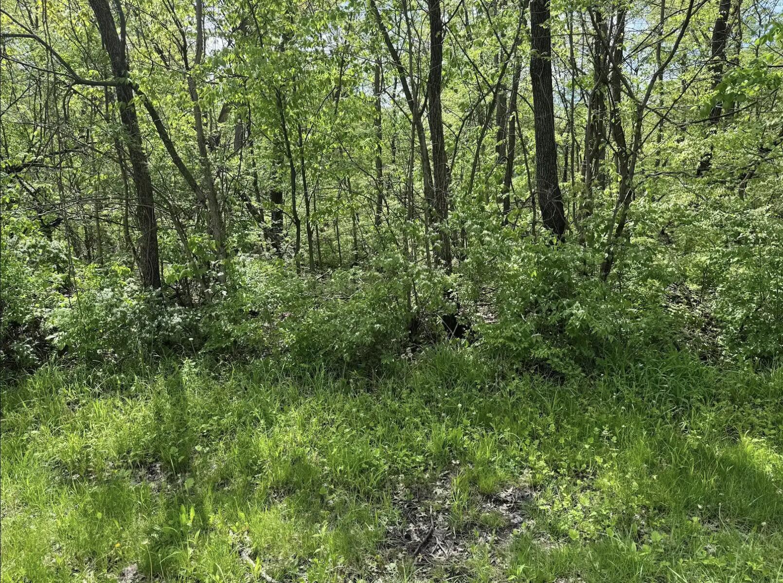 Mifflin Boulevard #LOT 31, Columbus, Ohio image 2