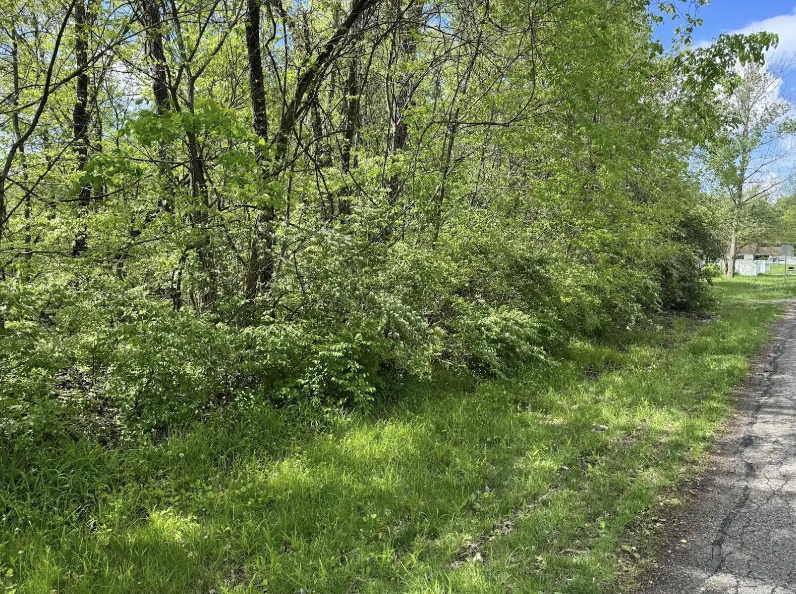 Mifflin Boulevard #LOT 31, Columbus, Ohio image 3