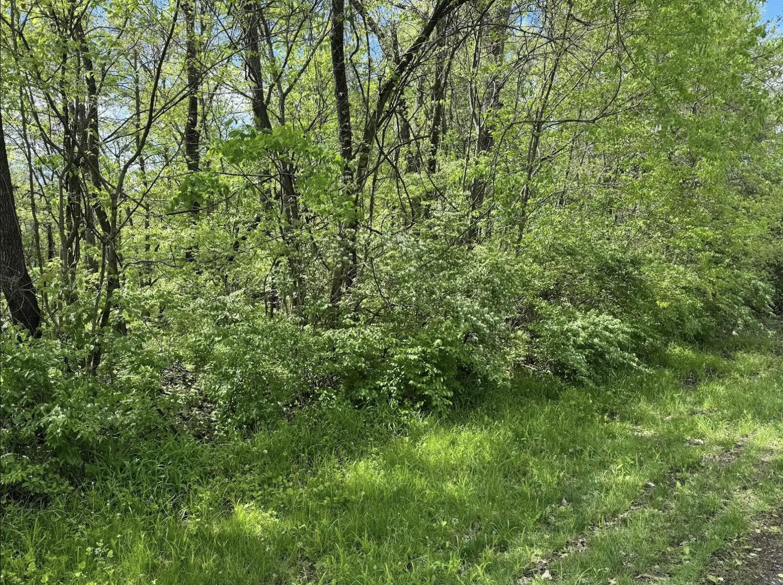 Mifflin Boulevard #LOT 31, Columbus, Ohio image 1