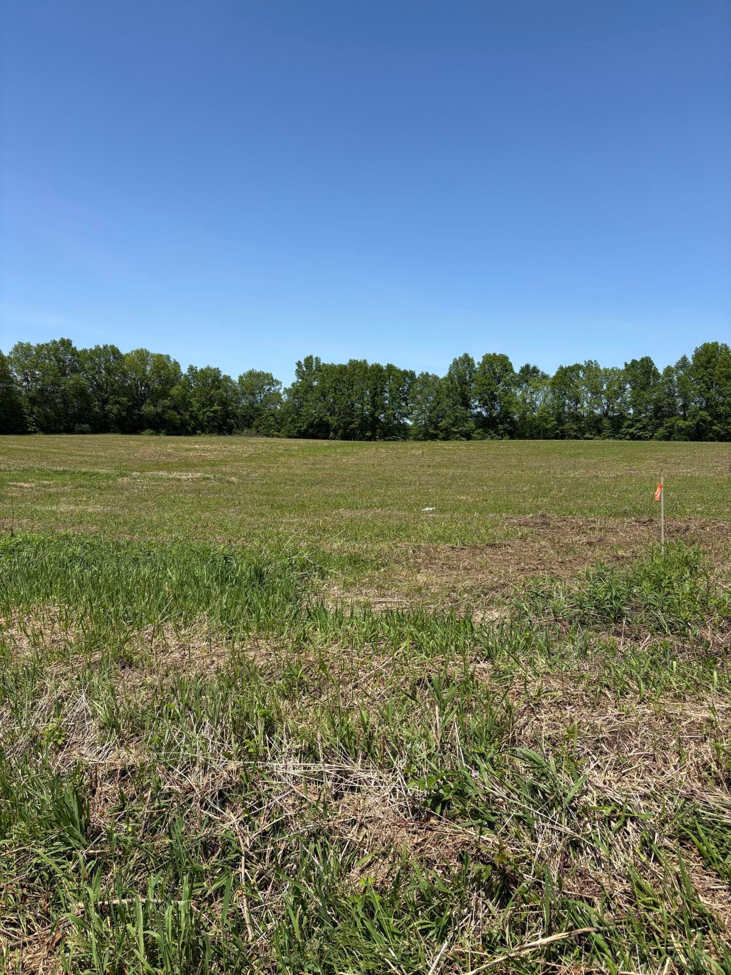 0 County Road 124 Tract #3