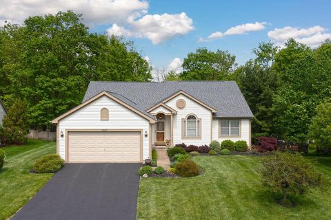 7686 Pinehill Road Lewis Center OH 43035