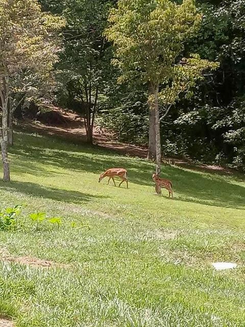 Tiny photo for 20731 State Route 664 S, South Bloomingville, OH 43152 (MLS # 226002236)