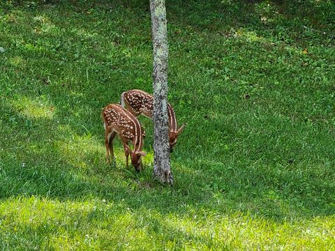 Tiny photo for 20731 State Route 664 S, South Bloomingville, OH 43152 (MLS # 226002236)