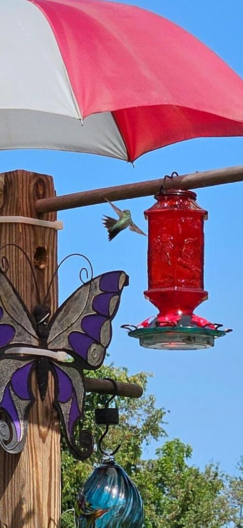 Tiny photo for 20731 State Route 664 S, South Bloomingville, OH 43152 (MLS # 226002236)