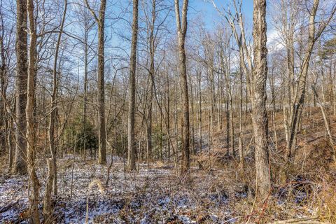 Tiny photo for 20731 State Route 664 S, South Bloomingville, OH 43152 (MLS # 226002236)