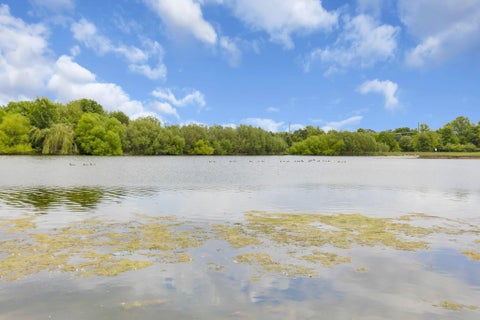 Tiny photo for 5508 Patriot Avenue, Orient, OH 43146 (MLS # 226022822)