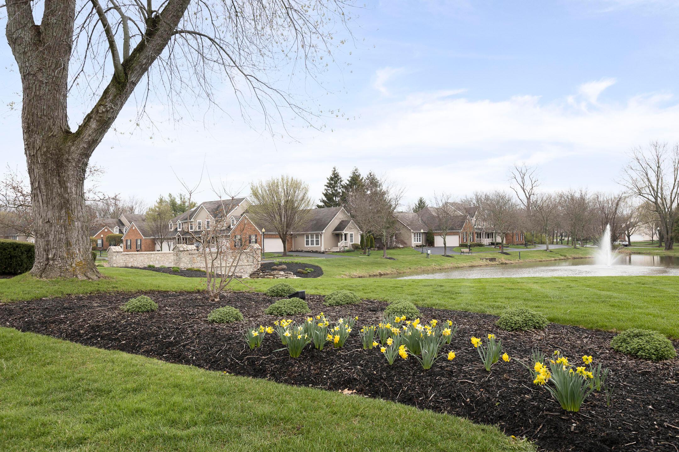 1448 Sedgefield Drive, New Albany, Ohio image 43