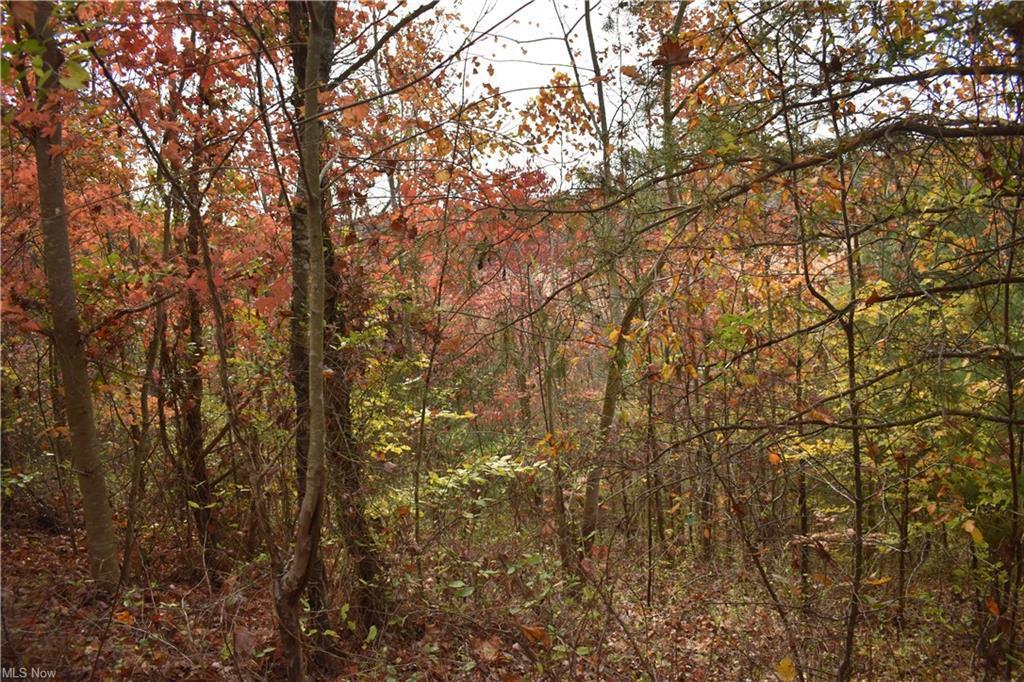 5580 Schmeltzer Road, Bremen, Ohio image 6