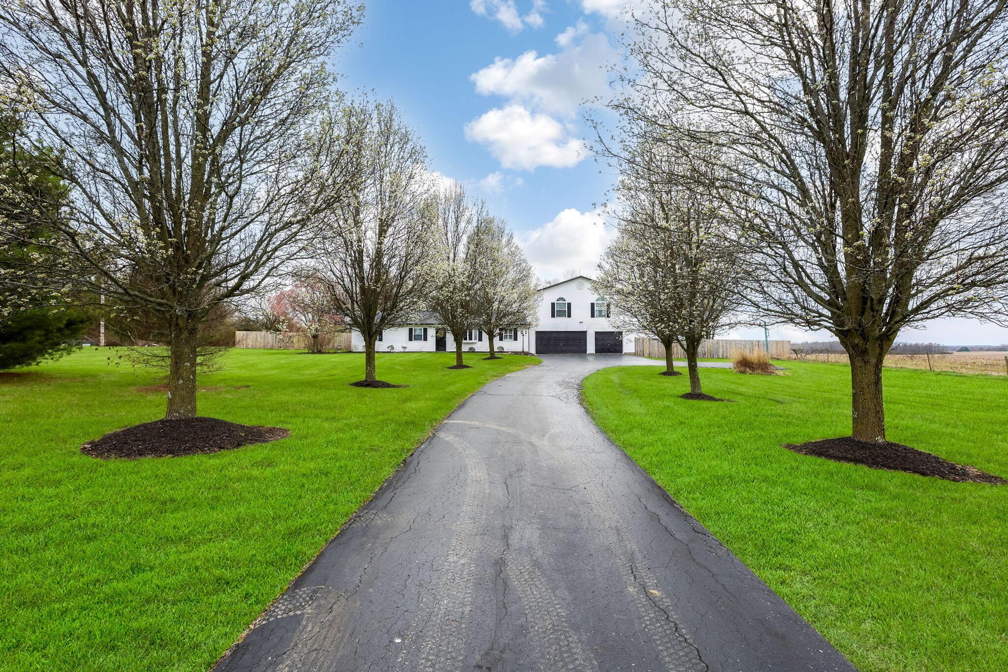 9501 Tarbutton Road, South Vienna, Ohio image 8