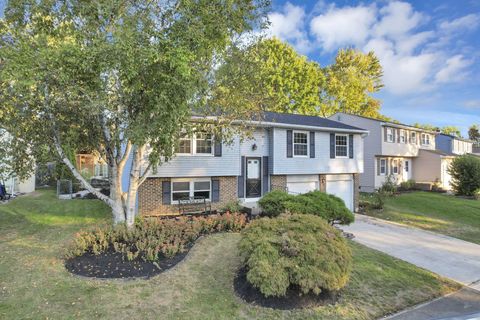 Photo of 6352 Hibiscus Court, Westerville, OH 43081 (MLS # 225037725)