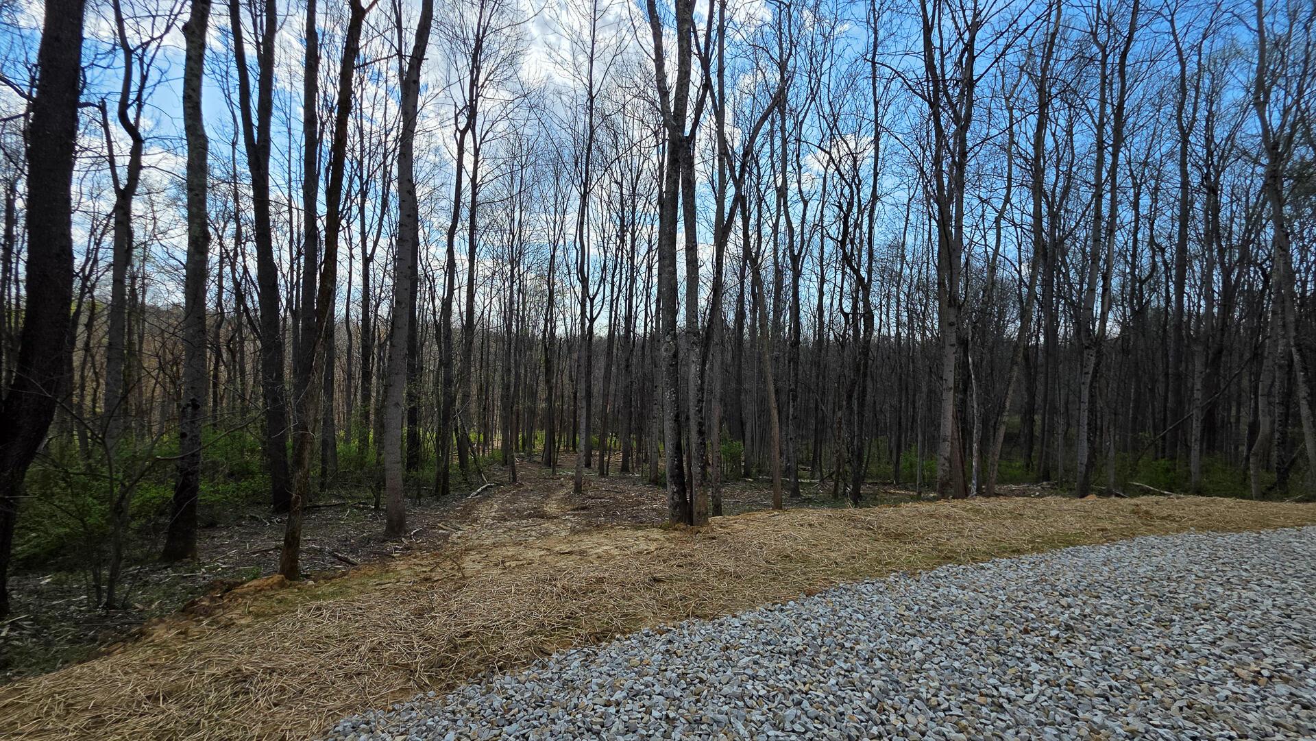 0 Dennis Road (Tract 1 at Muskingum Woods)