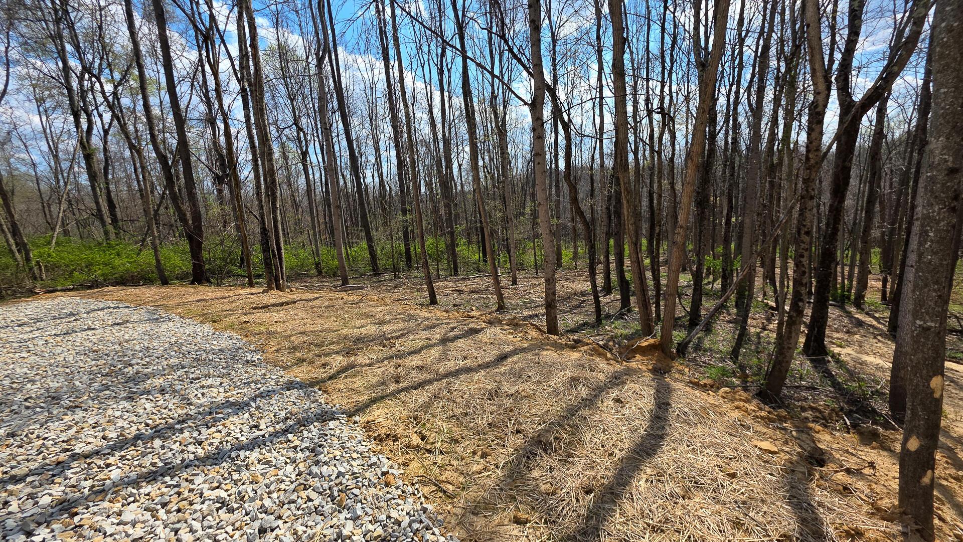 0 Dennis Road (Tract 1 at Muskingum Woods)